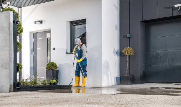Best Soft Washing  in Seville, FL